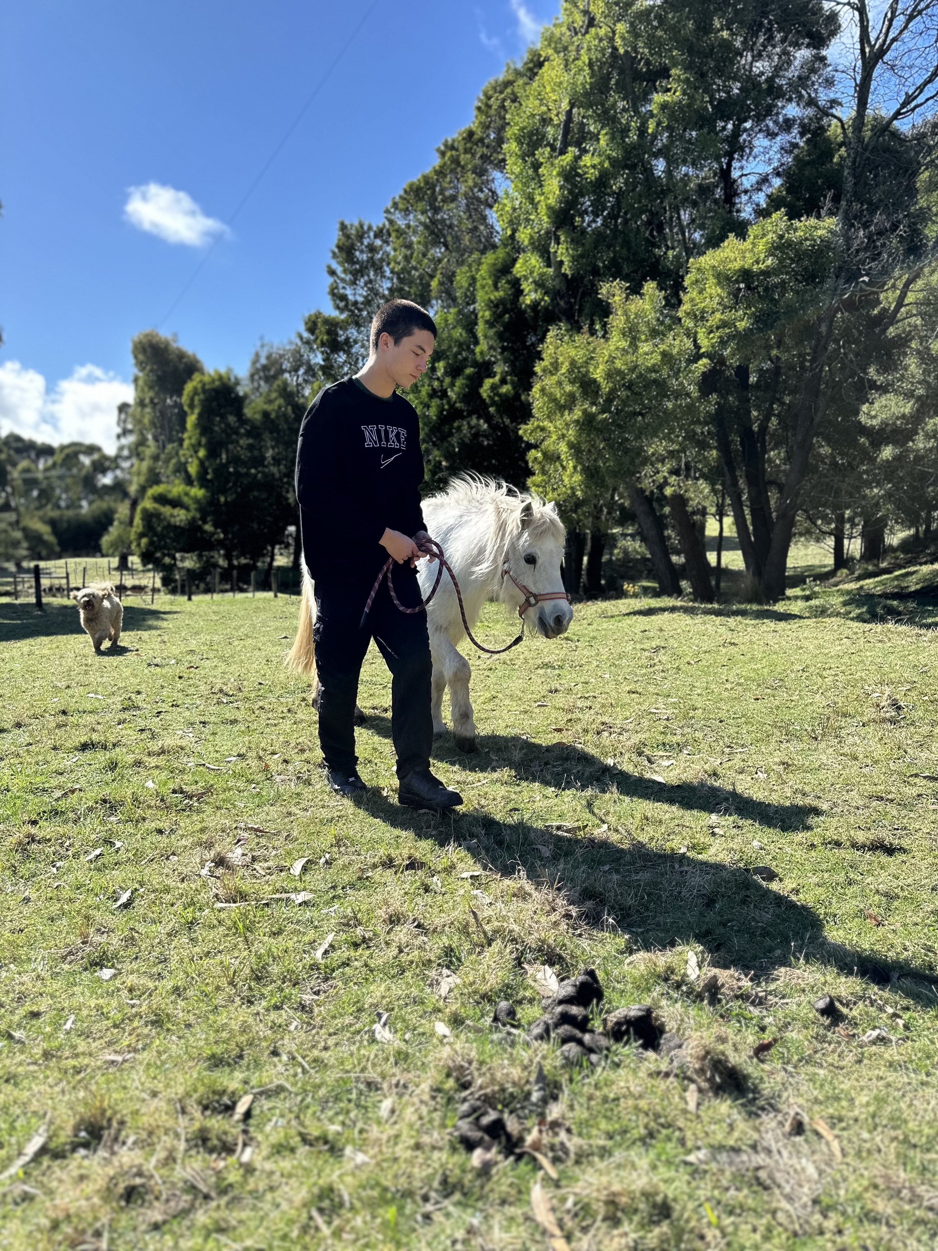 boy walking the horse