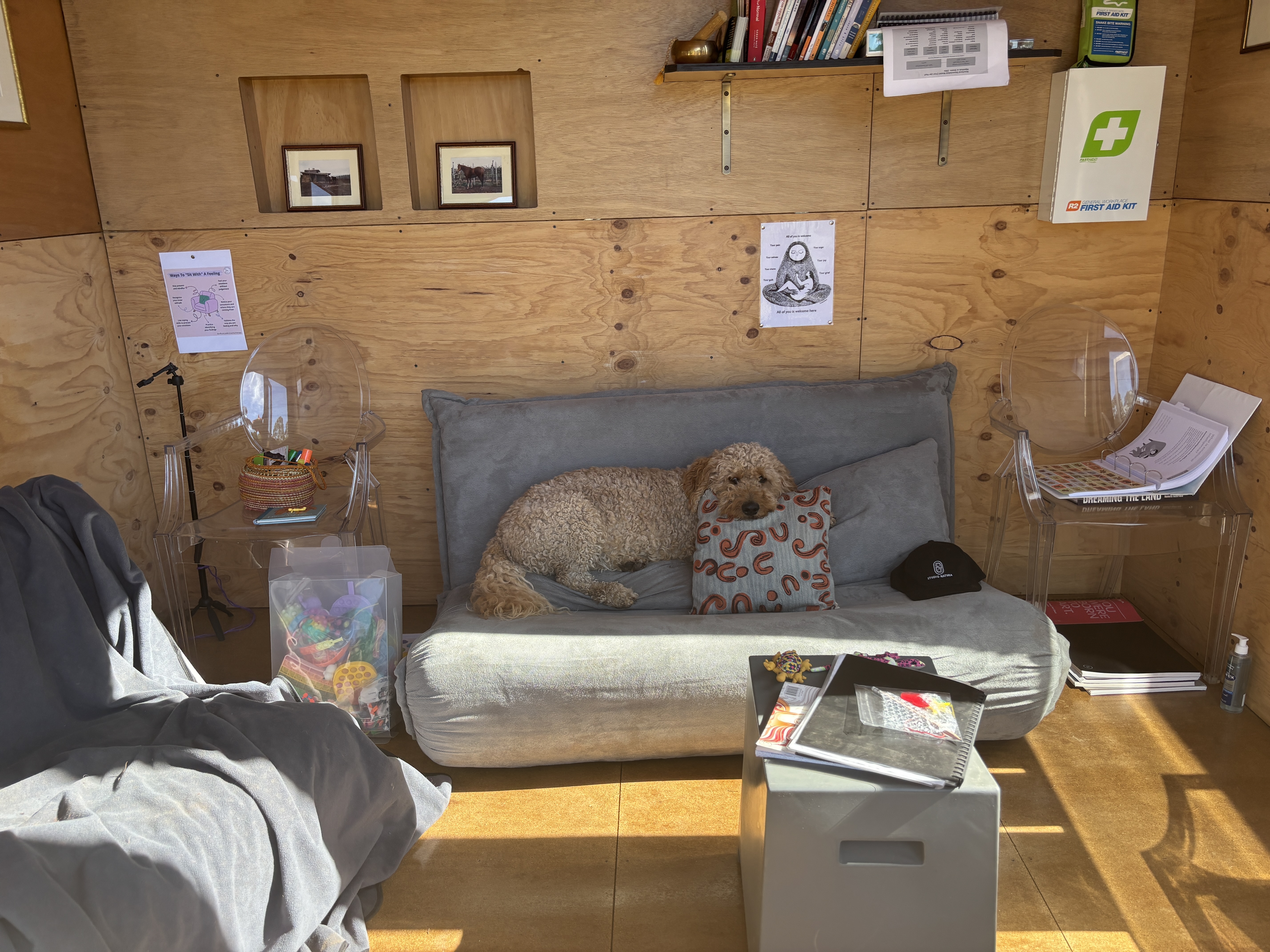 little house with dog on the couch