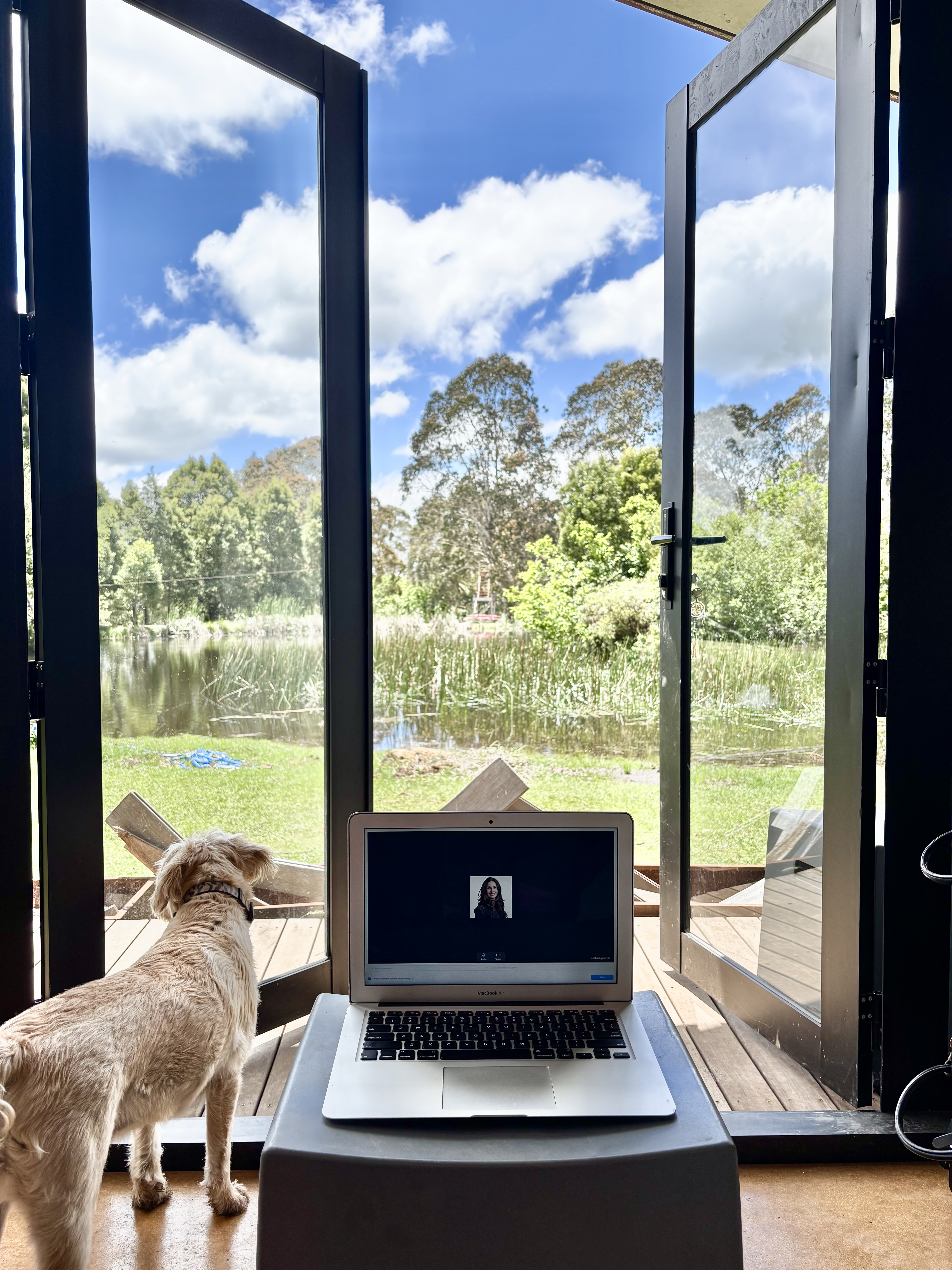 little house with dog on the couch