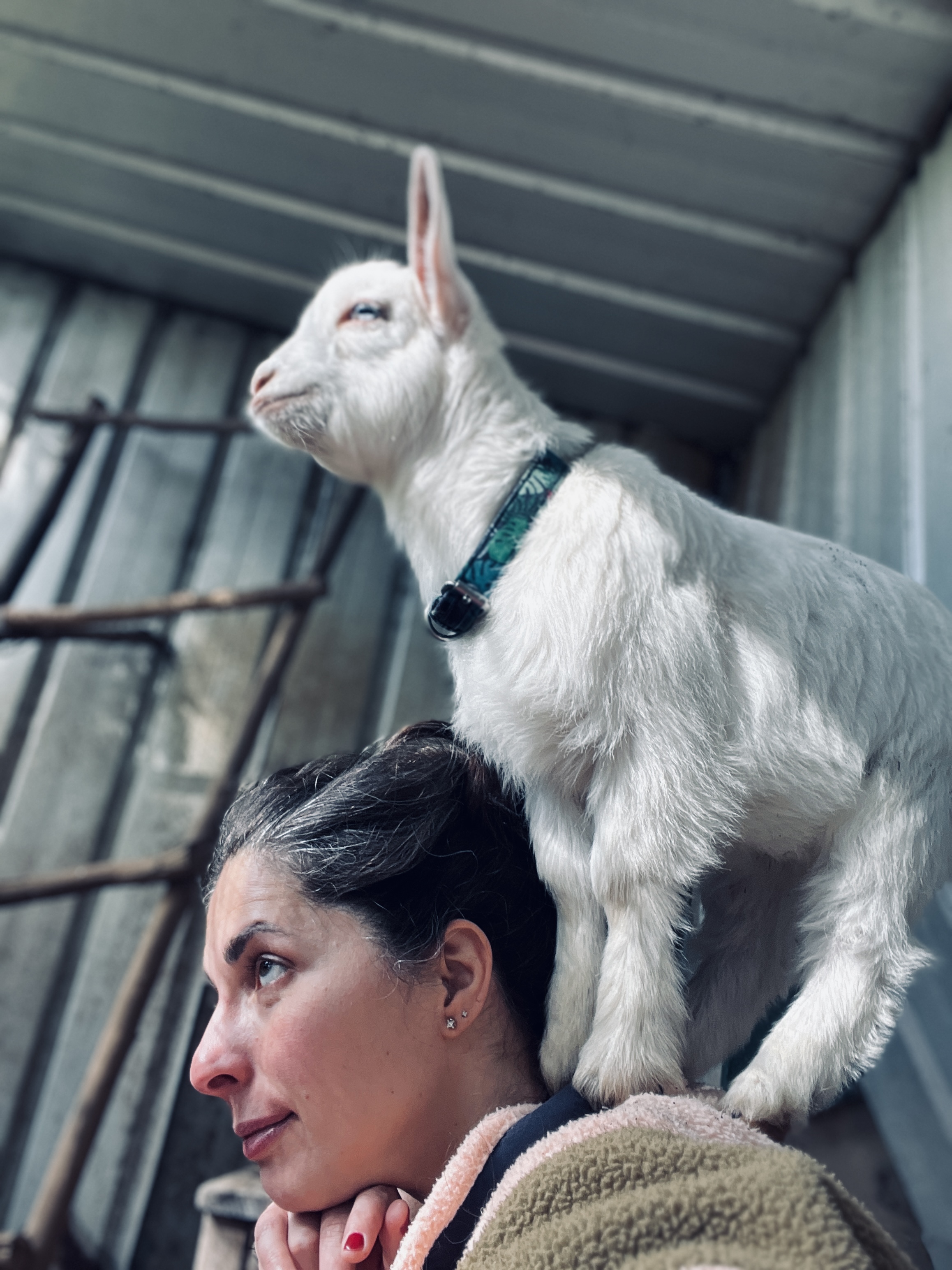 lady with goat on shoulders
