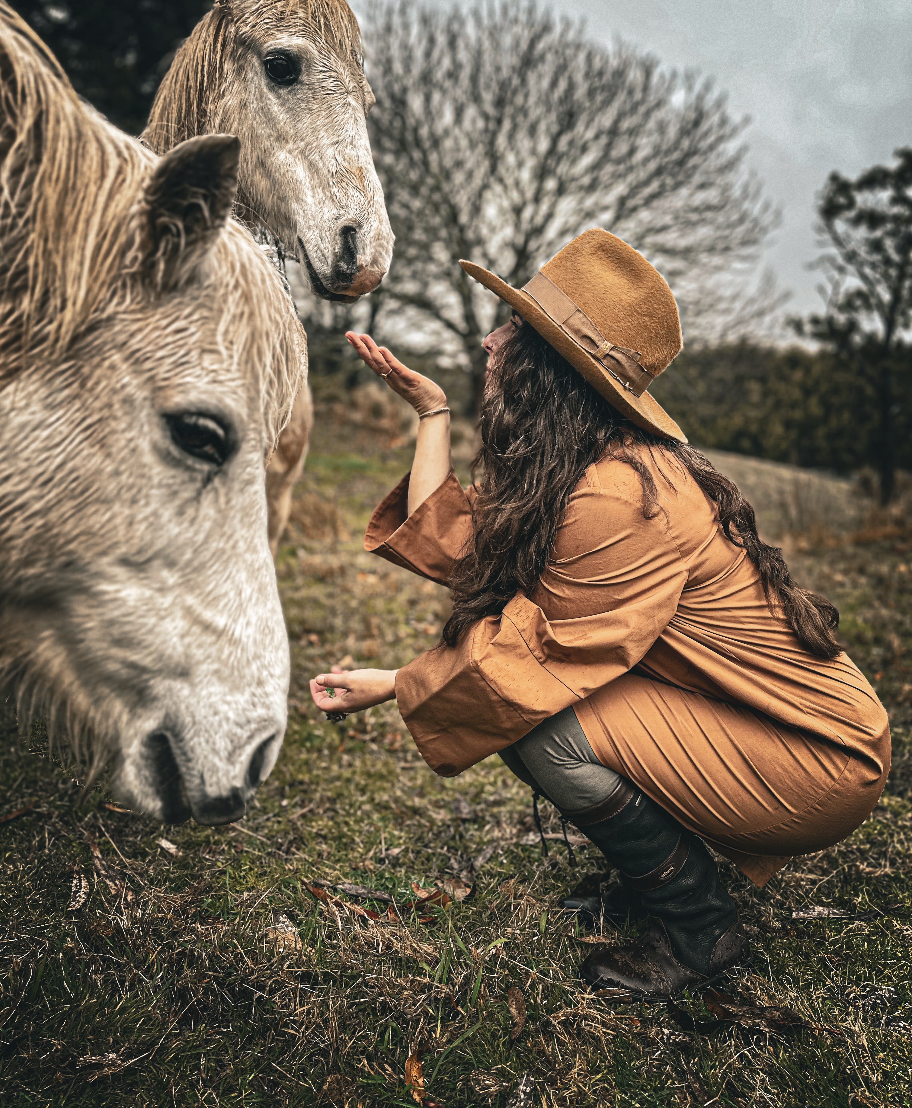 lady speaking to horses