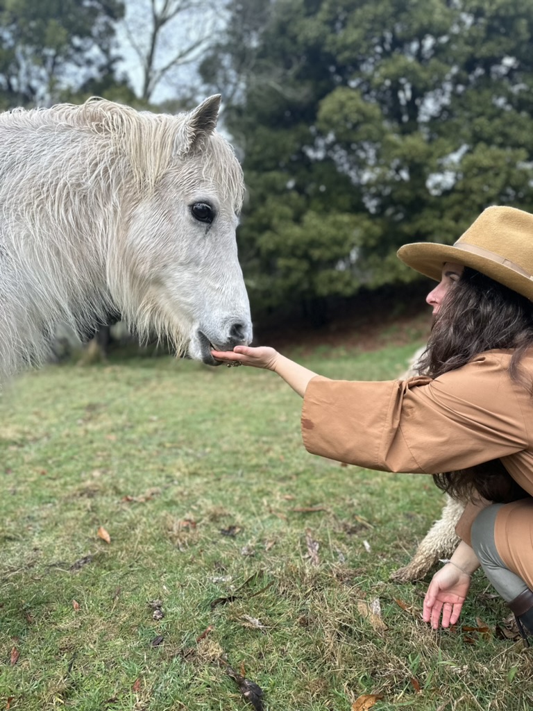 lady feeding horse with hand