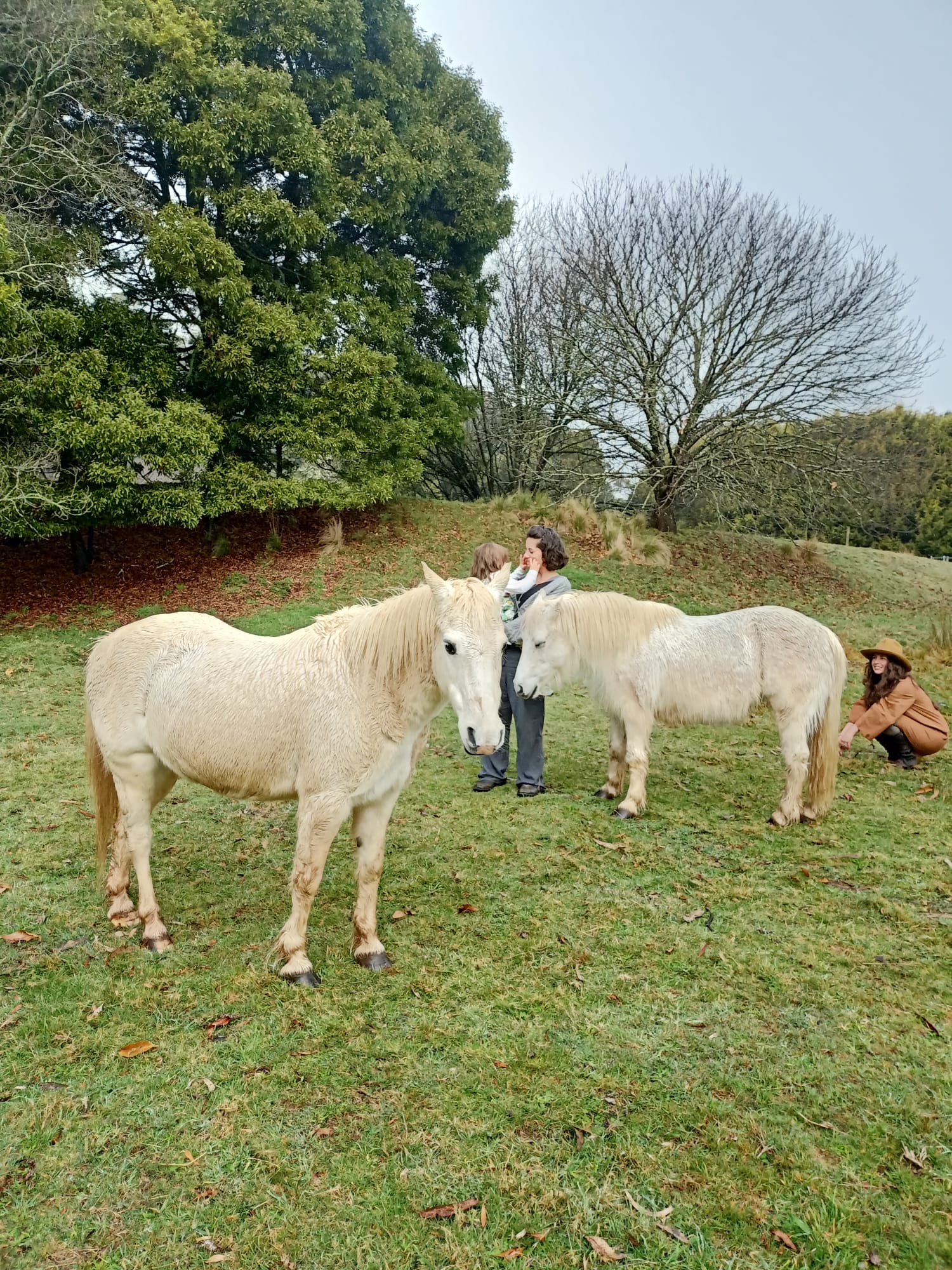 horses with mum carrying daughter